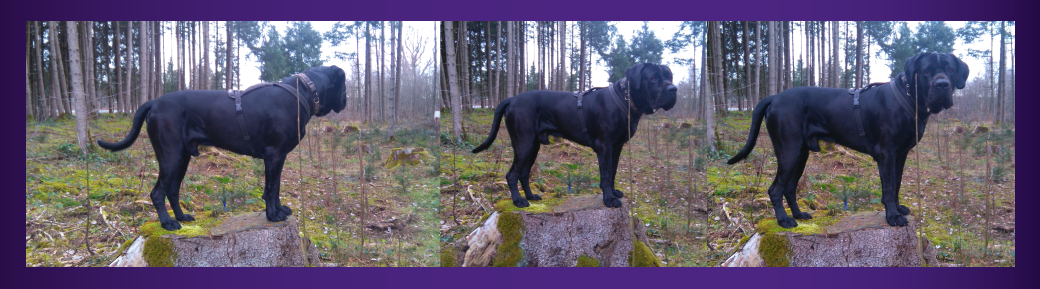 Februar16_2